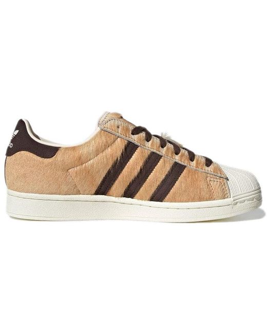 Adidas Natural Atmos X Superstar for men