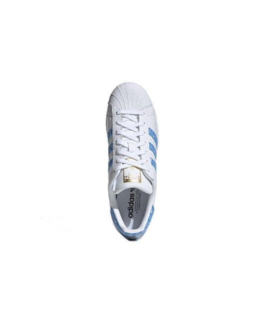 Adidas Blue Superstar 'Real Logo Print' for men