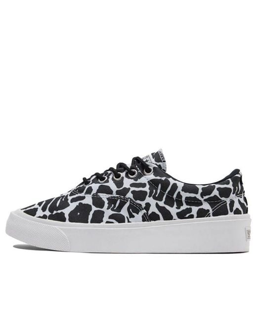 Converse Blue Skidgrip Stylish Low Top Casual Canvas Shoes Printing for men