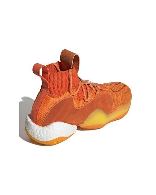 Adidas Brown X Pharrell Crazy Byw X for men