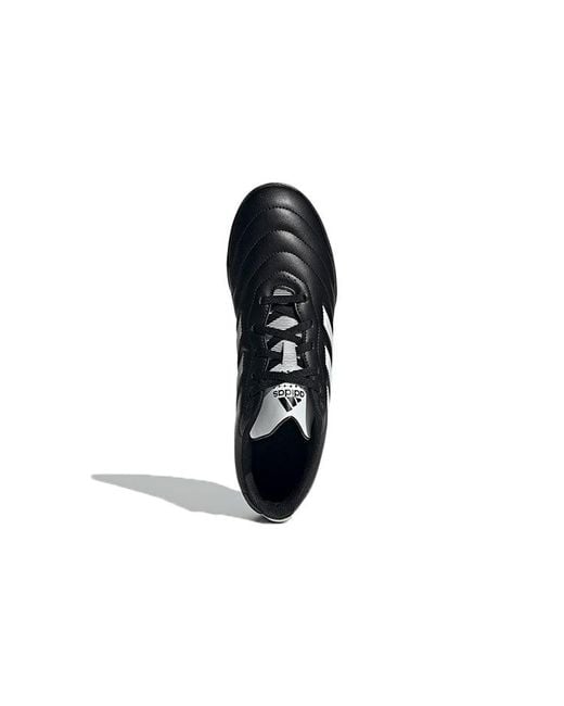 Adidas Black Goletto Viii Tf for men