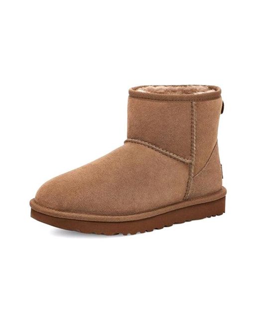 Ugg Brown (Wmns) Classic Mini Ii 'Hickory'