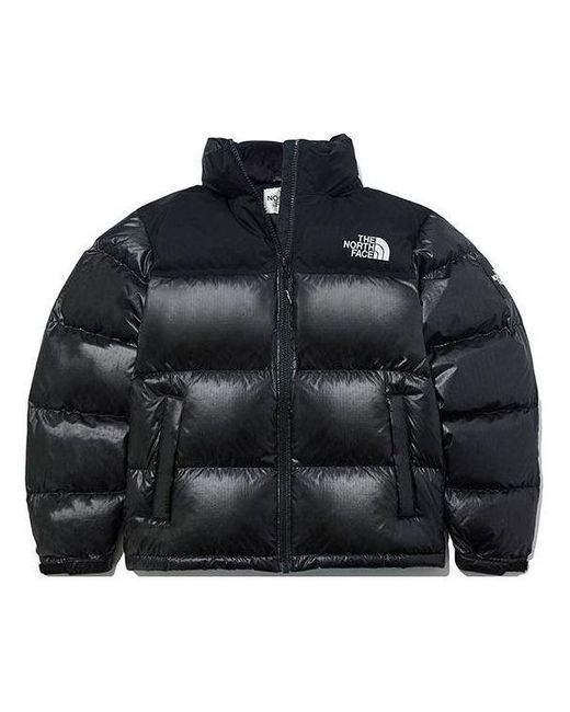 The North Face Black Novelty Nuptse Jacket for men