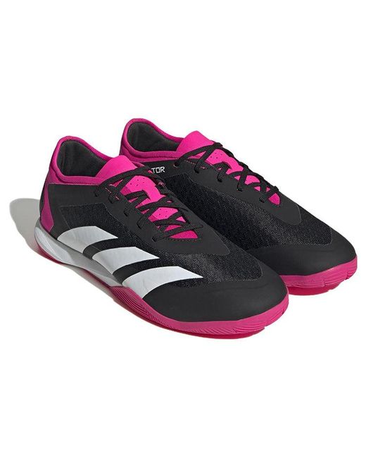 Adidas Purple Predator Accuracy.3 Low for men
