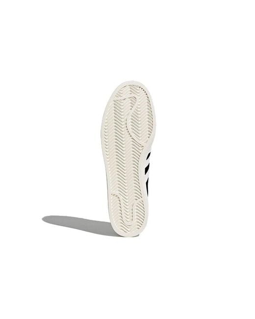 Adidas Black Campus for men