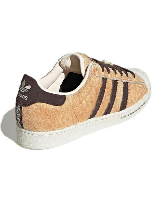 Adidas Natural Atmos X Superstar for men