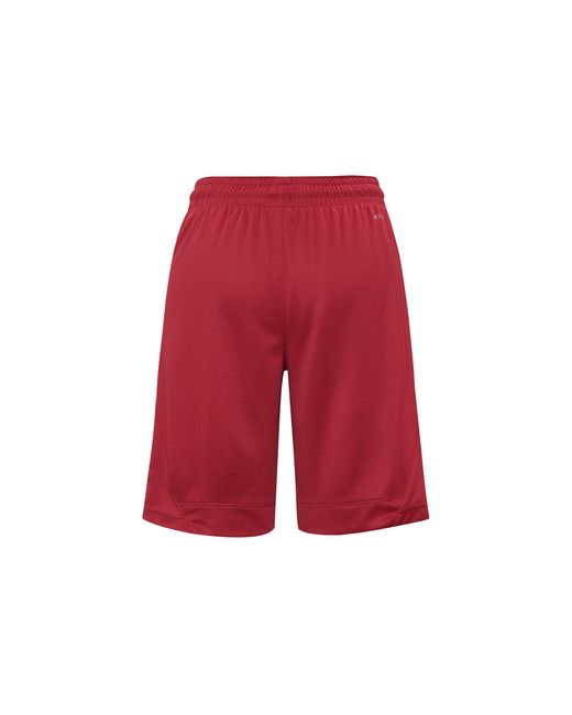 Nike Red Rise Striped Triangle Logo Printing Quick Dry Knit Basketball Shorts for men