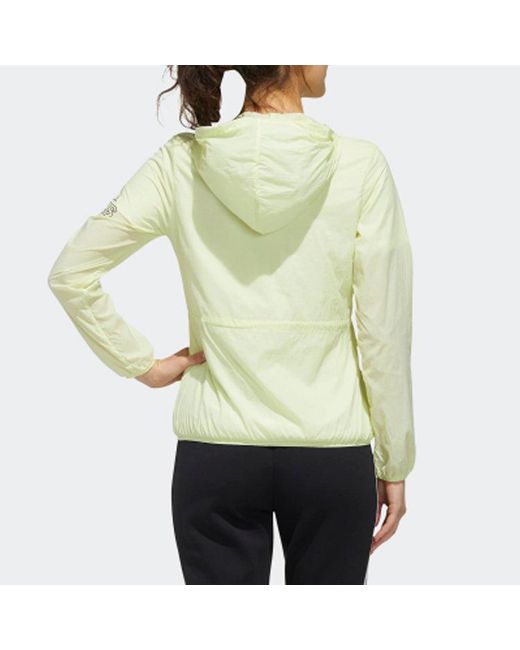 Adidas Green (Wmns) Windbreaker Bos Jacket Windtight Coat