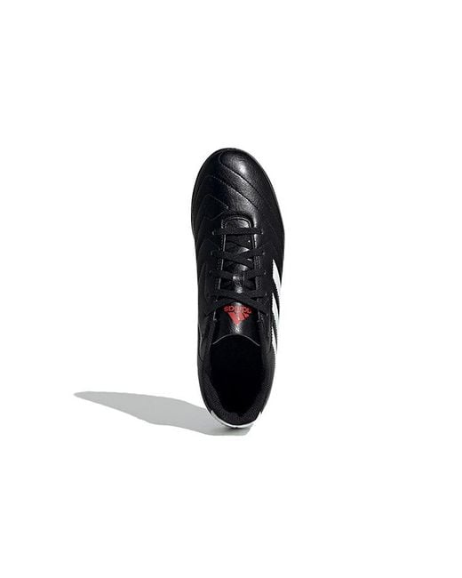 Adidas Black Gloetto 7 Tf for men