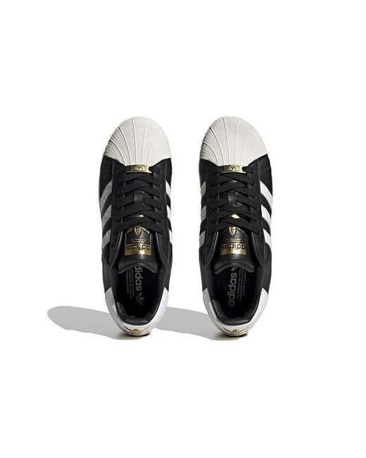 Adidas Blue Originals Superstar Xlg Shoes Cloud' for men
