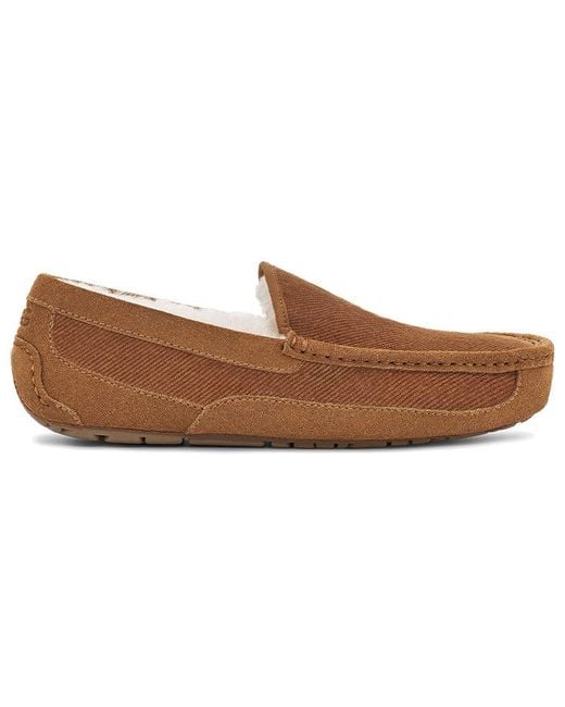 Ugg Brown Ascot Corduroy Ii 'Chestnut' for men