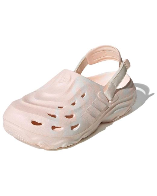 Adidas Pink Maxxclog Sandals for men