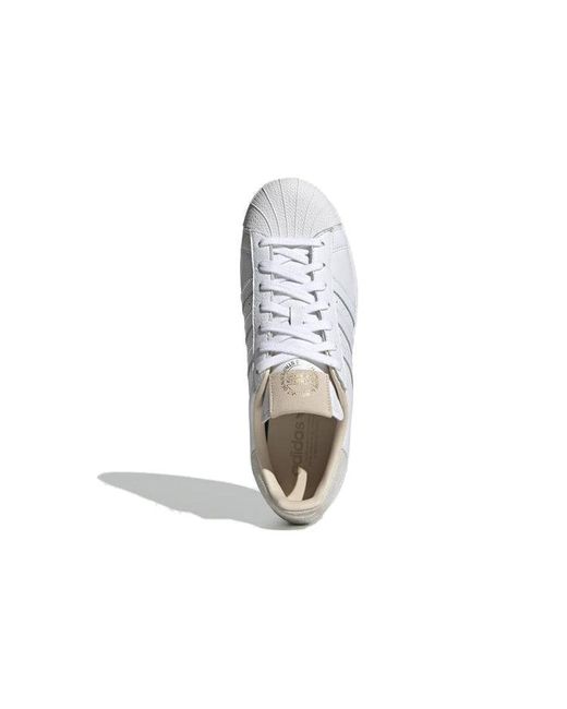 Adidas White Superstar 'Home Of Classics' for men