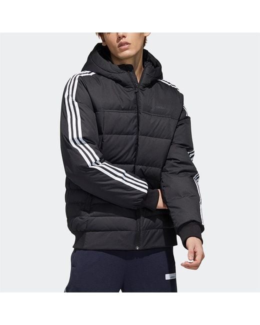 Adidas Blue Neo Sprt Dwn Puff Hooded Down Jacket for men