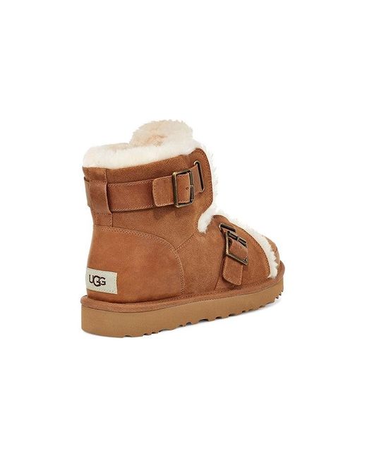 Ugg Brown (Wmns) Dune Mini Buckle Boot Fleece Lined