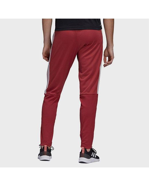 Adidas Red Leisure Sports Running Small Feet Knitted Trousers for men