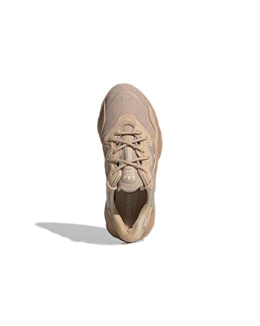 Adidas Brown (Wmns) Originals Ozweego