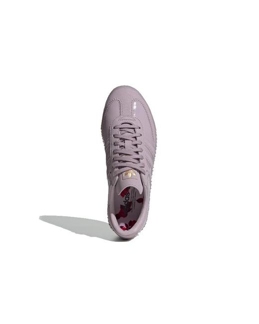 Adidas Purple (Wmns) Sambarose 'Triple'