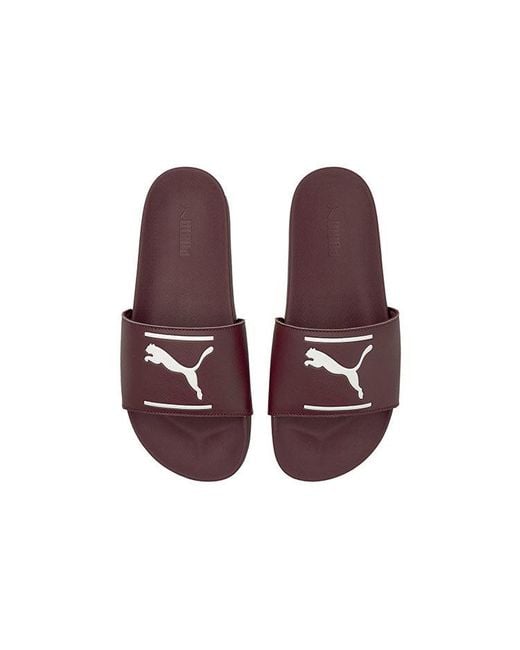 PUMA Brown Leadcat Ftr Slippers for men
