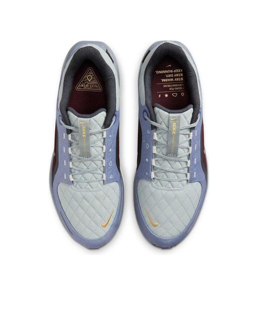 Nike Blue Air Zoom Winflo 11 Gore-Tex 'Light Pumice Ashen Slate' for men