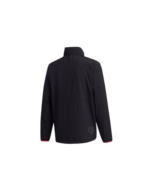 Adidas Blue Vd Windbreaker Stripe Casual Sports Jacket for men