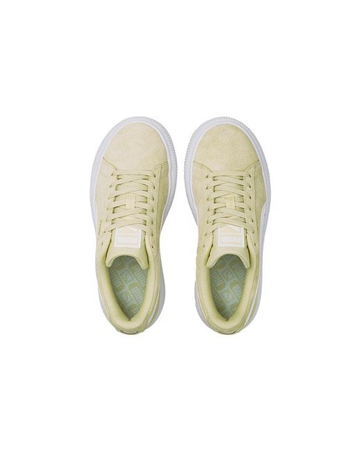 PUMA White (Wmns) Suede Mayu Thick Sole Minimalistic Casual Skateboarding Shoes