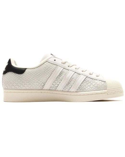 Adidas White Atmos X Superstar 'G-Snk' for men