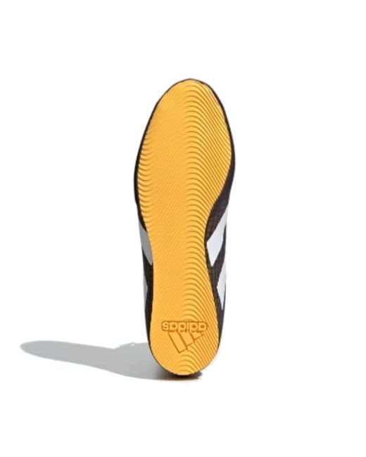 Adidas Blue Box Hog 4 Shoes for men