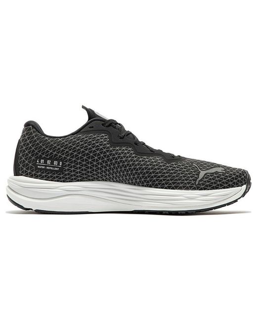 PUMA Black Velocity Nitro 2 Wtr Running Shoes for men