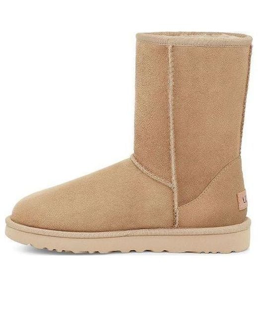 Ugg Natural (Wmns) Classic Short Ii 'Mustard Seed'