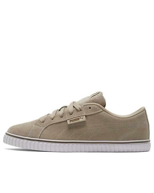 PUMA Brown Ever Lopro Sd Casual Skateboarding Shoes for men