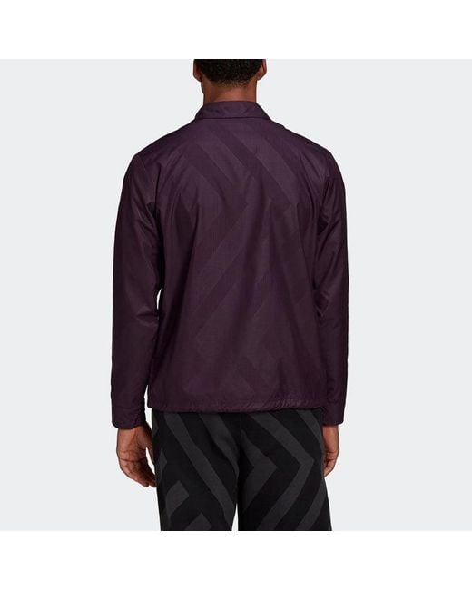 Adidas Blue Pg Jacket Sports Stylish for men