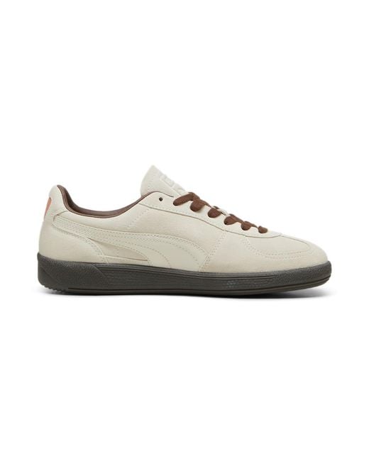 PUMA Brown Palermo 'Alpine Snow' for men