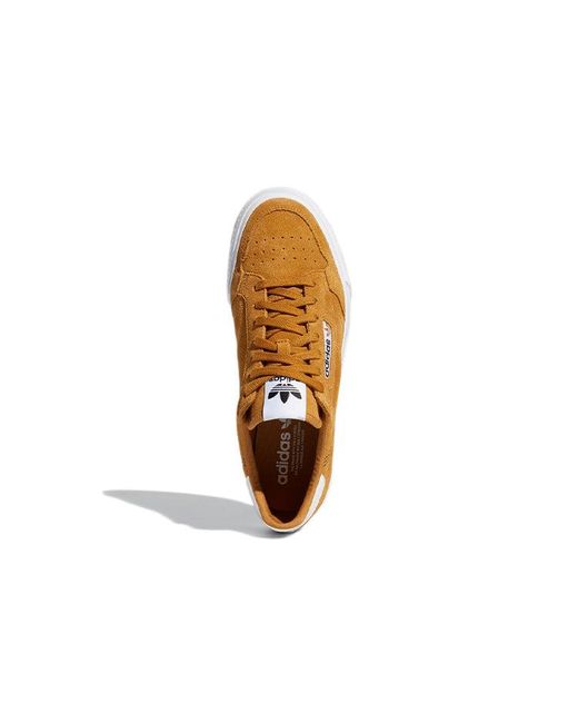 Adidas Brown Continental Vulc for men