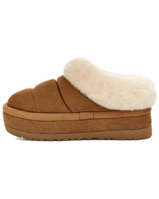 Ugg Brown (Wmns) Tazzlita 'Chestnut'