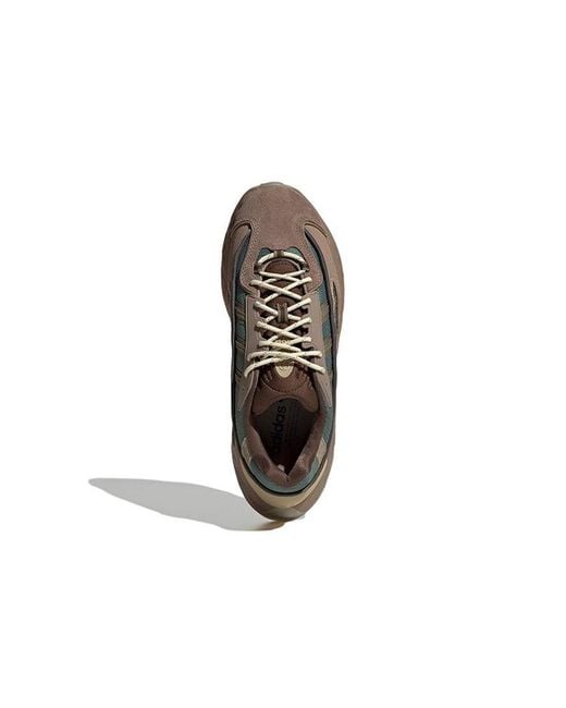 Adidas Brown Originals Oznova for men