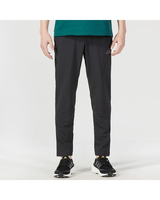 Adidas Black Train Essentials Seasonal Training Joggers for men