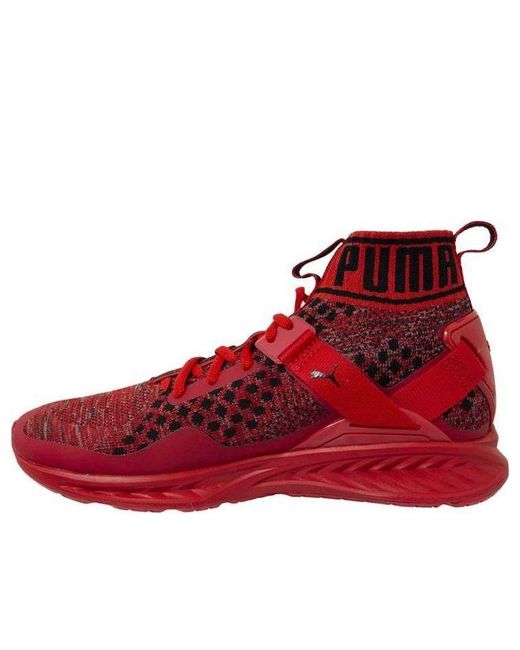 PUMA Red Ignite Evoknit for men