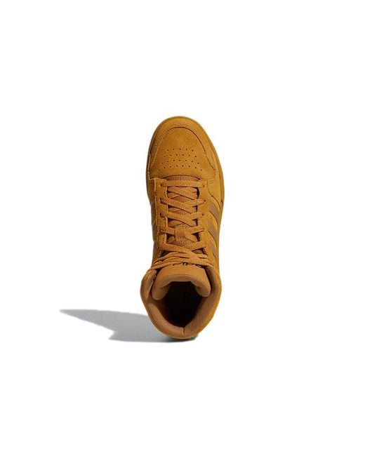 Adidas Brown Entrap for men