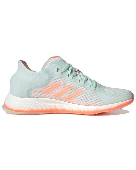 Adidas Blue (Wmns) Focus Breathein 'Signal Coral'