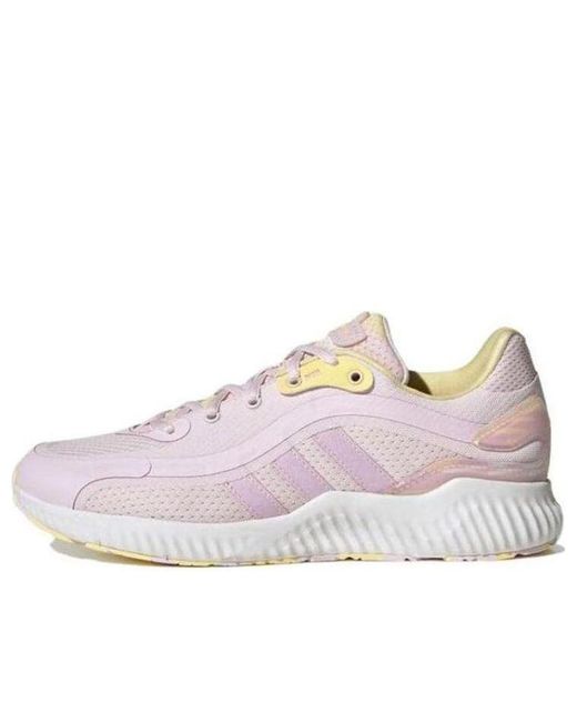 Adidas Pink (Wmns) Jelly Bounce