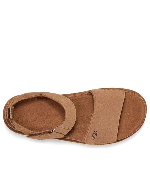 Ugg Brown (Wmns) Goldenstar Platform Sandal 'Chestnut'