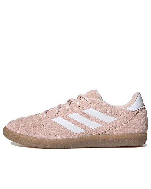 Adidas Pink Sala Court for men