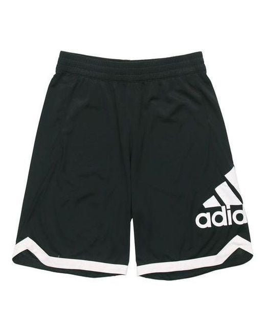 Adidas Black Badge Of Sport Short Dri-Fit Sports Short for men