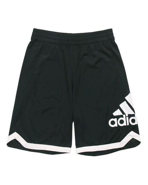 Adidas Black Badge Of Sport Short Dri-Fit Sports Short for men