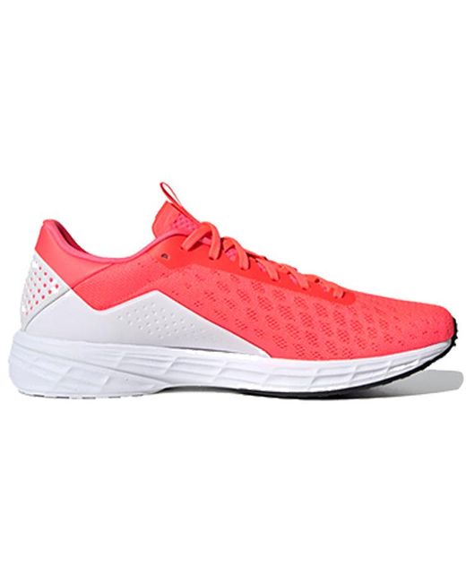 Adidas Red Sl20 Shoes for men