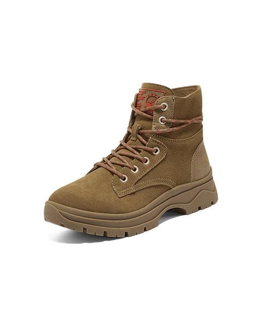 Skechers Brown (Wmns) Bobs Broadies