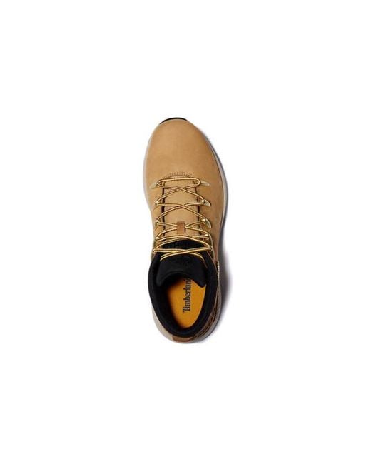 Timberland Brown Sprint Trekker Hiking Boot for men