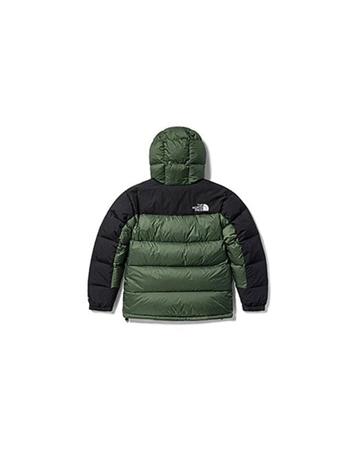 The North Face Winter Puffer Jacket 'Olivegreen' for men