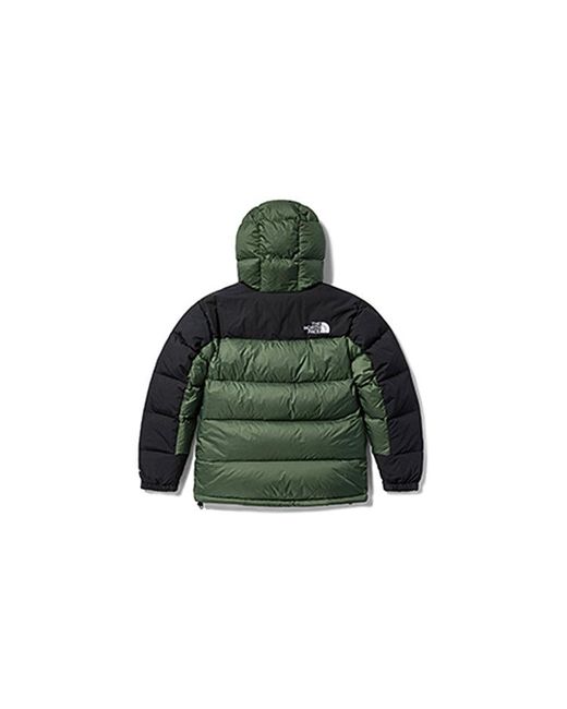 The North Face Green Winter Puffer Jacket for men